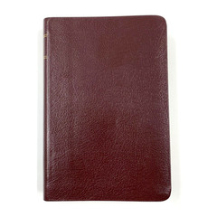 Holy Bible – New Living Translation – NLT – Compact Bonded Leather – 2007