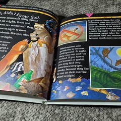 Wolves Howl at the Moon Cecilia Fitzsimons 2000 Illustrated Children’s Facts
