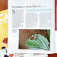 2 FINE Back Issues Of Organic Gardening Magazine June July August September 2010