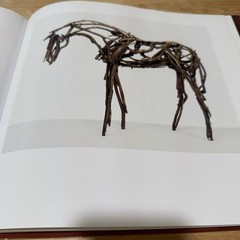 DEBORAH BUTTERFIELD – ROBERT GORDON Hardback With Dust Jacket Horse Sculptures ￼