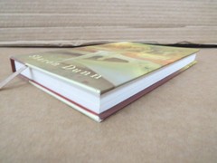 The Package Sharon Dunn 2015 Annie’s Attic Mysteries Hardcover Novel Annie’s