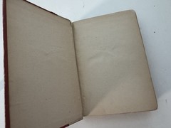 The Scarlet Letter Nathaniel Hawthorne Hardcover Gilt Warner Press Edition