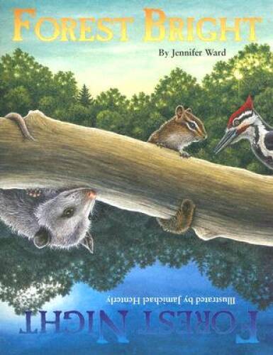 Forest Bright, Forest Night – Paperback By Jennifer Ward – VERY GOOD