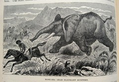 1898 Victorian Exploration Sea Travel Arctic Africa Tropics Safari Wild Animals