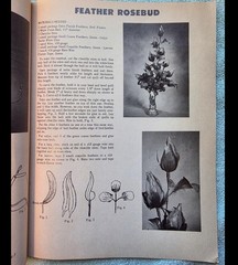 Vintage 1960s Aleene Craft Book Lot of 3 Chenille, Flair Felt, Feather Fantasies