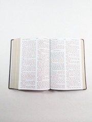 Holy Bible KJV Super Giant Print Edition Red Letter Holman 1996