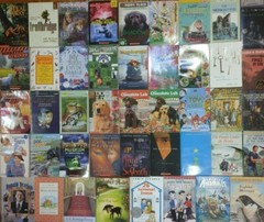 RANDOM Lot of 15 4th Grade AR Chapter Books RL Level 4.0-4.9 Homeschool Teacher