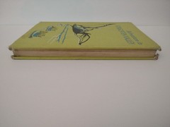 Adventure in Forgotten Valley Glyn Frewer 1964 A Guild Book G P Putnam’s Sons HB