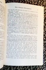 Microbiology Pathology And Nursing Eugene C. Piette, 1940, HC