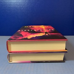 Lot 2 ~ Hardcover Books ~ MARIE LU ~ SKYHUNTER and STEELSTRIKER ~ Roaring Brook