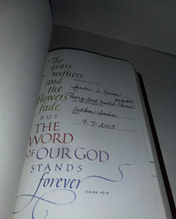 Beautiful Leather New Living Translation Bible King James Red Letter Slimline
