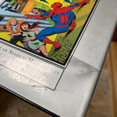 Spectacular Spider-Man Volume 1 Col #1-15 Marvel Masterworks HC Hard Cover