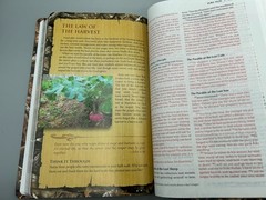 NIV Holy Bible Outdoorsman Realtree Camo Zondervan 2011 – VG+