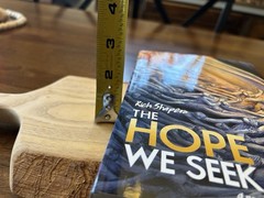 The Hope We Seek. Rich Shapero. 432 Pages. Paperback.