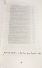Tame Your Thoughts: Three Tools to Renew Your Mind and Transform Your Life PB