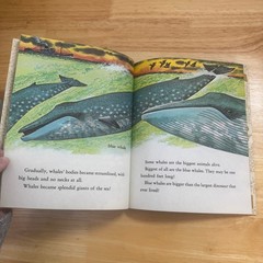 Little Golden Book Whales Jane Werner Watson Illustrated Rod Ruth 1978