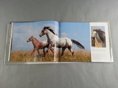 Horses Photo Book Parragon 2010 Illustrated Majestic Animals Equestrian