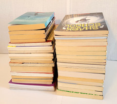 Boys 3rd/4th/5th/6th Grade Chapter Books Lot of 42 Homeschool PB Scholastic