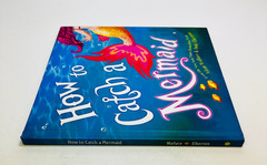 How to Catch a Mermaid Hardcover Adam Wallace & Andy Elkerton