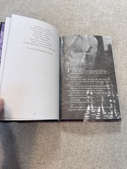 Steel Princess By Rina Kent Baddies Book Box Special Edition Royal Elite Series