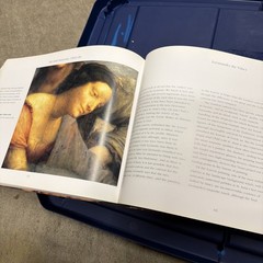 Leonardo Da Vinci by D. M. Field Multicolor Illustrated Hardcover Book