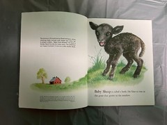 Vintage Children’ Animal books – Barn Panorama/Old MacDonald/Farmer Jones+1