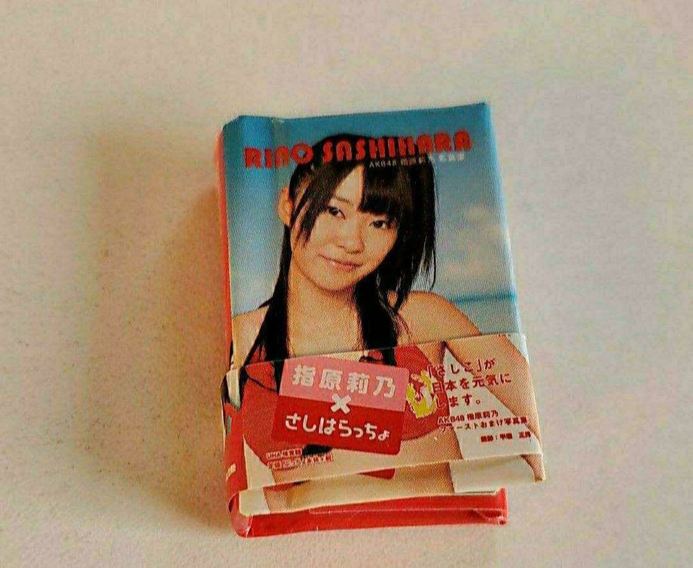 AKB48 Mini Photobook Rino Sashihara Puccho 3.5×2.4in Japanese Idol