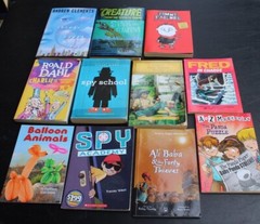 Chapter Book Lot for Boys Kids Elementary Middle School Level 11 pc