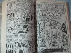 Shazam 500+ Pages of Comics DC Showcase Presents Volume 1 Paperback