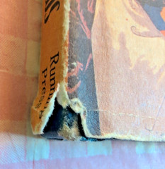 The Little Book of Hand Shadows Phila H Webb Running Press Miniature Edition VTG
