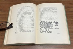 The Boy with the Parrot by Elizabeth Coatsworth 1942 The Macmillan Company
