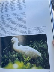 The Natural History of China by Zhaoji Hardcover 210 Pages-great Condition