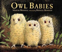 Owl Babies – Martin Waddell, 1564029654, board book