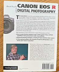 David Busch’s Canon EOS R Guide to Digital Photography by David D. Busch (2019,