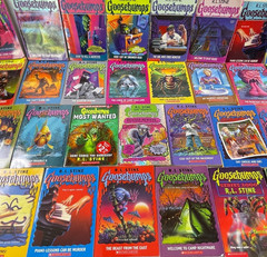 Goosebumps Lot of 29 by RL Stine – Apple Fiction 1990s-2010s – TPB