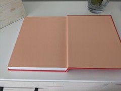 Design*Sponge at Home by Grace Bonney (2011, Hardcover)