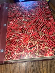 The New Century Dictionary Deluxe Illustrated Edition 1957 VGC