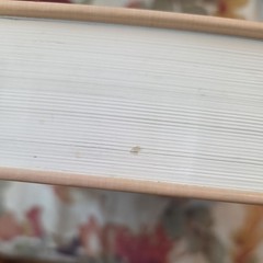 The Reformation Study Bible (R.C. Sproul) ESV~~2005 Hardcover
