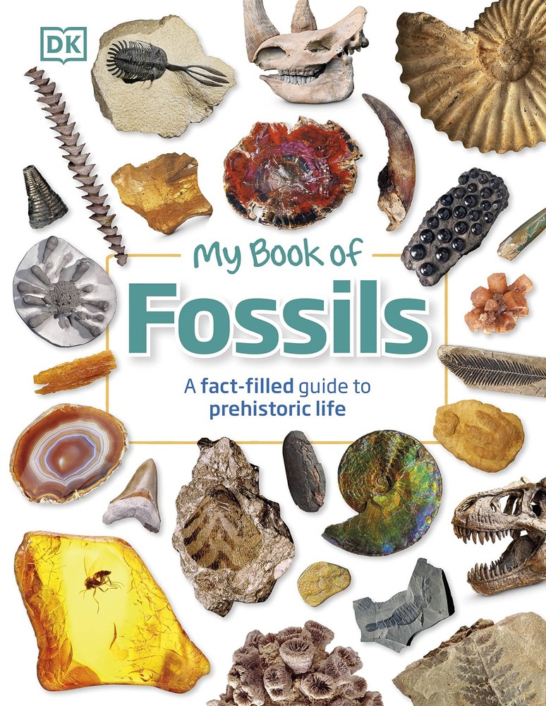 My Book of Fossils: A fact-filled guide to prehistoric life – hardcover Loma…