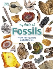 My Book of Fossils: A fact-filled guide to prehistoric life – hardcover Loma…