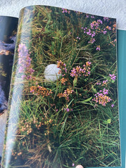 The Golfer’s Journal Quiet Please Coffee Table Book Premium Member Gift