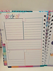 Gratitude Finder- 52 Week – Non-Dated Daily Positive – Greatitude Finder