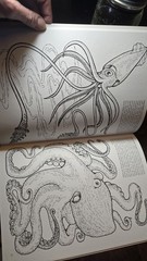 STRANGE CREATURES OF THE SEA COLORING BOOK By Llyn Hunter Doyer Coloring Book