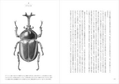 Book The Specimen Painter: Drawing Insects – The Great Universe of… Japanese