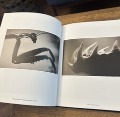 Animalia Henry Horenstein Signed Art Photography 2008 HC First Edition Italy