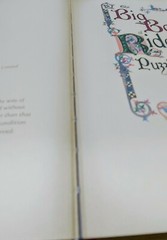 “The Big Book of Riddles, Puzzles and Enigmas” + Host of Conundrums 416 Pages