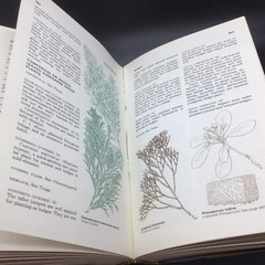 Vintage Reader’s Digest Complete Book Of The Garden 1967 Hardcover 896 Pages