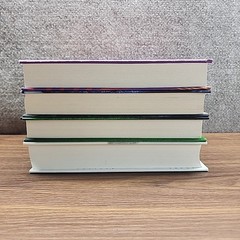 Lot of 4 Book Bundle Womens Fiction Cozy Mystery Book Gift Bundle Hardcovers
