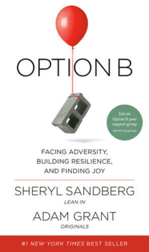 Option B: Facing Adversity, Building Resilience, and Finding Joy – VERY GOOD