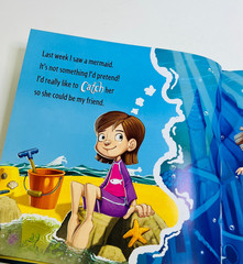 How to Catch a Mermaid Hardcover Adam Wallace & Andy Elkerton